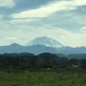 Meet your Posher, Annette